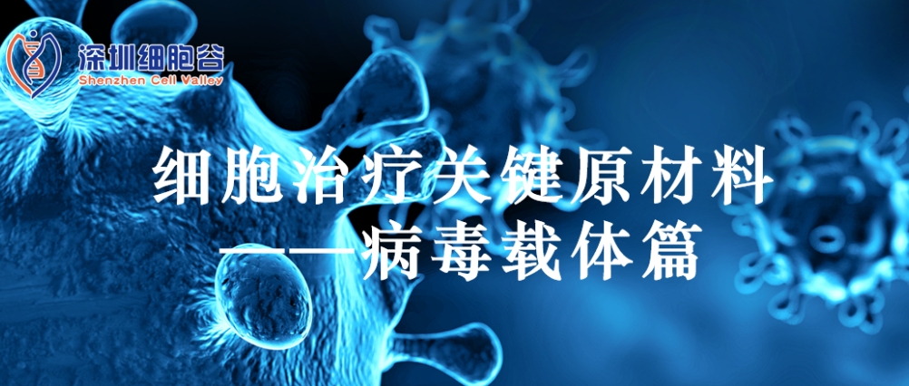 細胞治療關(guān)鍵原材料——病毒載體
