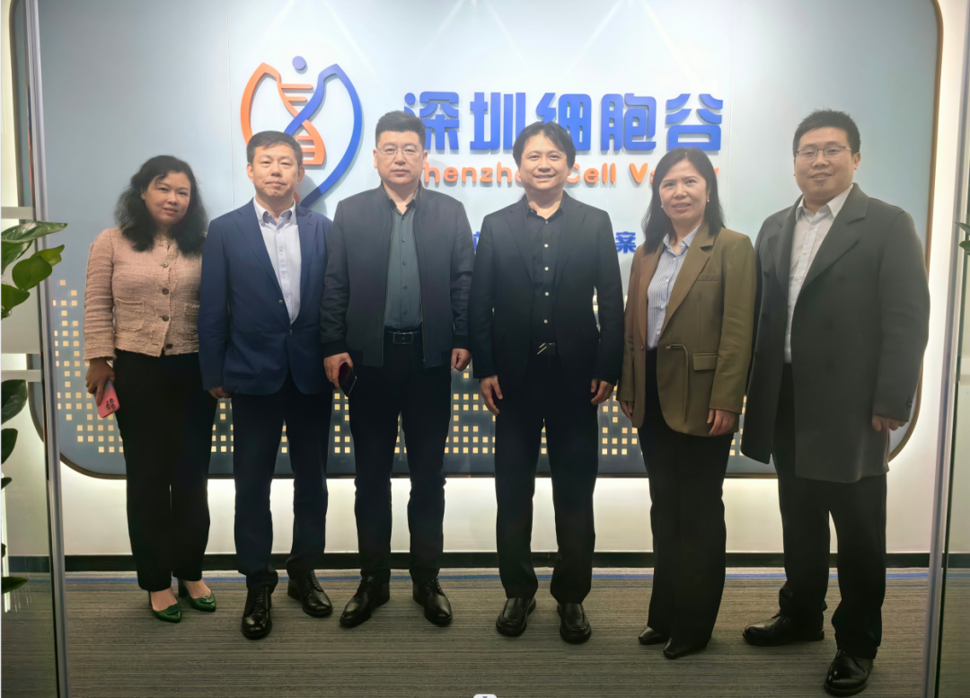 河南科技大學(xué)第二附屬醫(yī)院院長邢建武、副院長王慧睿一行蒞臨深圳細(xì)胞谷交流訪問